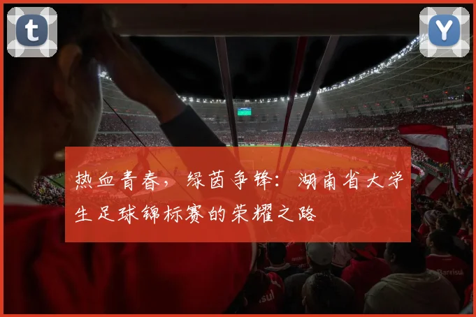 热血青春,绿茵争锋:湖南省大学生足球锦标赛的荣耀之路