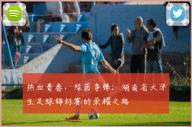 热血青春,绿茵争锋:湖南省大学生足球锦标赛的荣耀之路